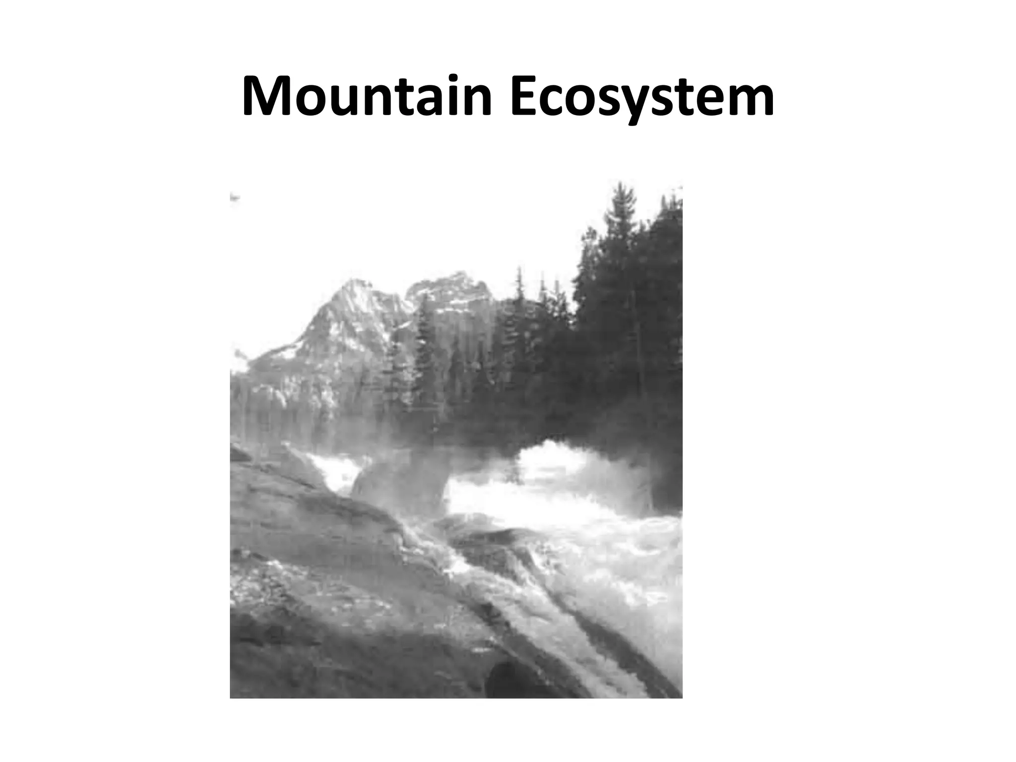 Mountain Ecosystem
 
