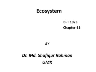 Ecosystem
                  BFT 1023
                  Chapter-11



          BY


Dr. Md. Shafiqur Rahman
          UMK
 