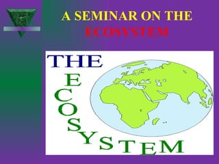 A SEMINAR ON THE   ECOSYSTEM 