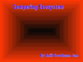 Compering Ecosystem By Adil Sowbaan Jan 