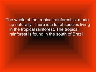 The whole of the tropical rainforest is  made up naturally. There is a lot of species living in the tropical rainforest. The tropical rainforest is found in the south of Brazil.   