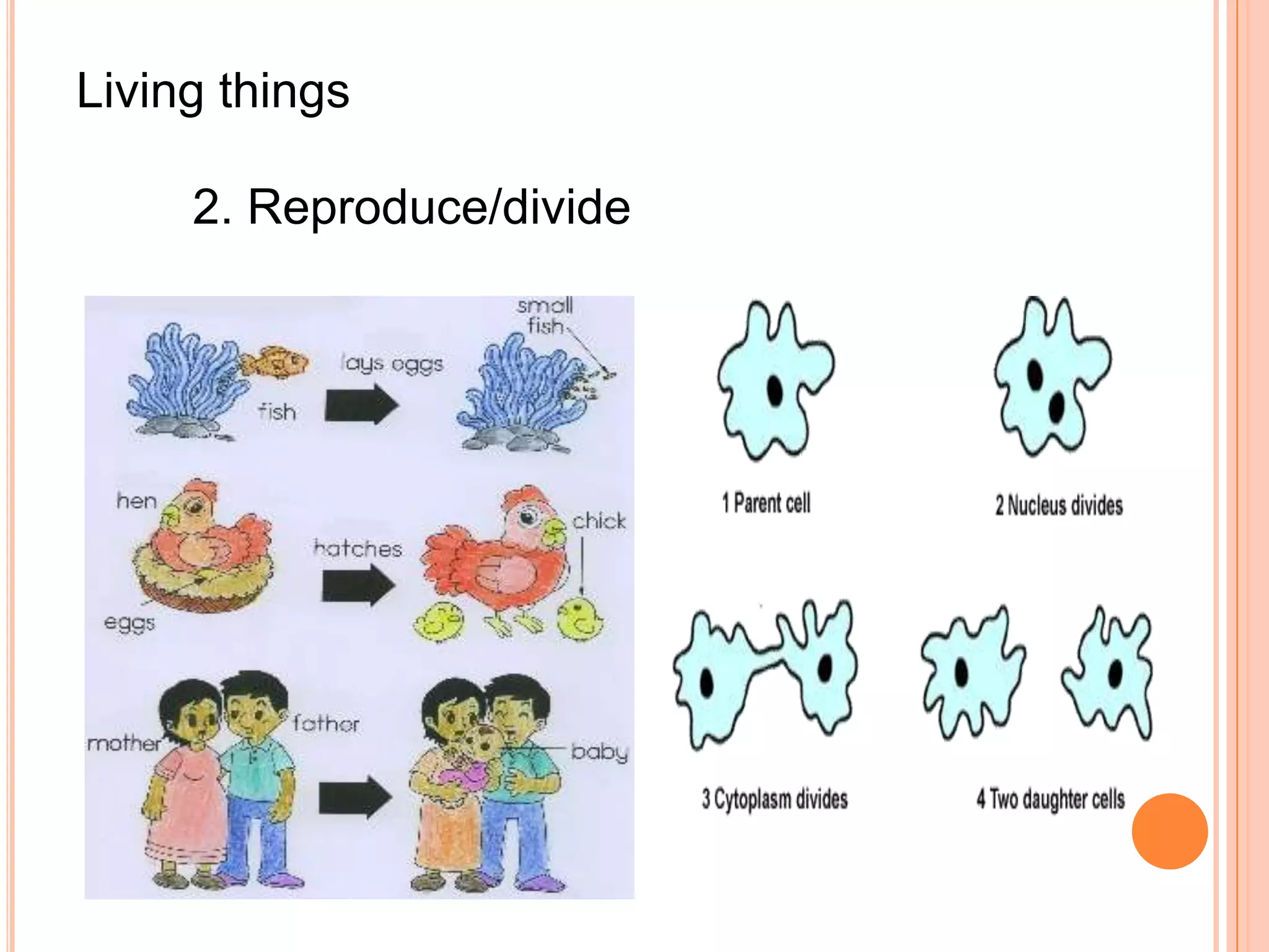 Living things

     2. Reproduce/divide
 
