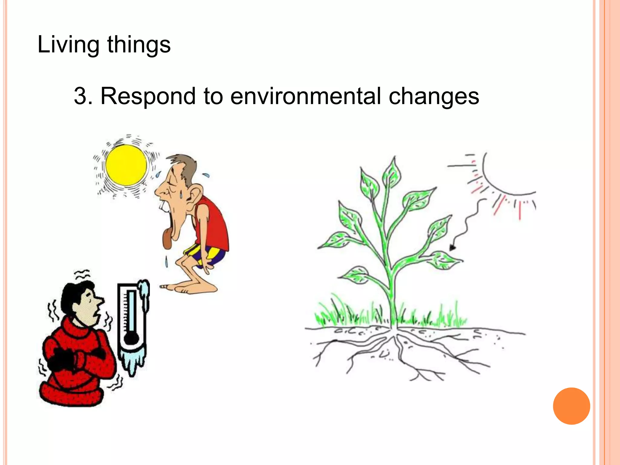 Living things

   3. Respond to environmental changes
 