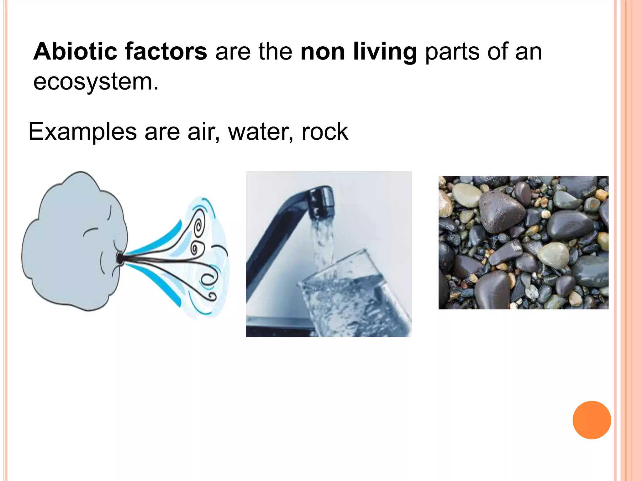 Abiotic factors are the non living parts of an
ecosystem.

Examples are air, water, rock
 