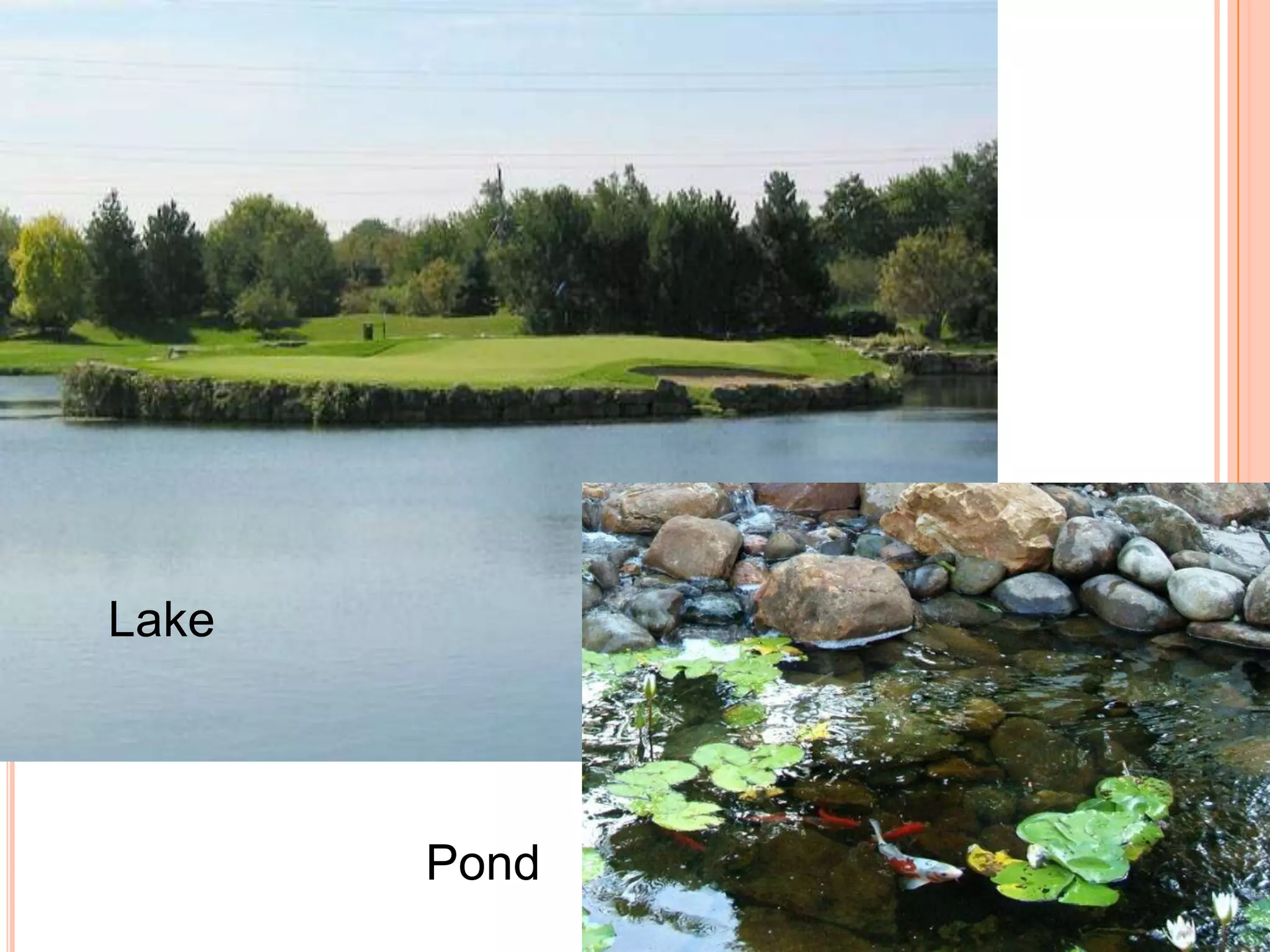 Lake



       Pond
 