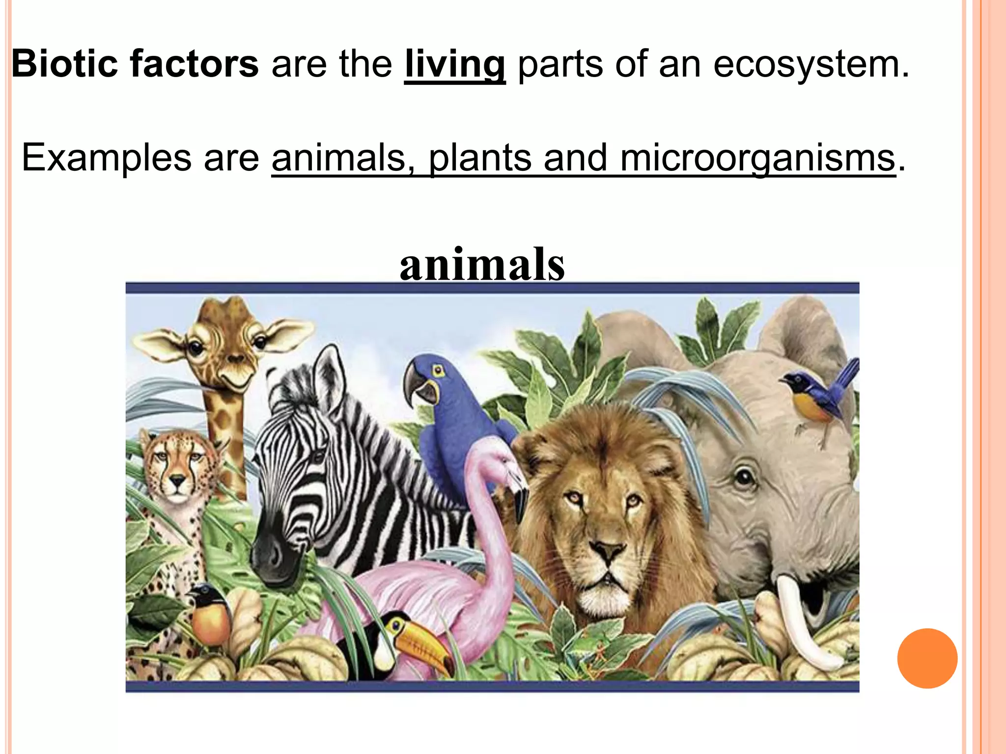 Biotic factors are the living parts of an ecosystem.

Examples are animals, plants and microorganisms.

                      animals
 