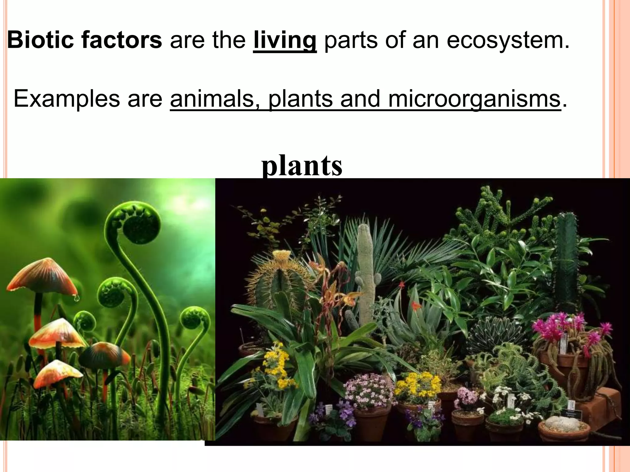Biotic factors are the living parts of an ecosystem.

Examples are animals, plants and microorganisms.

                       plants
 