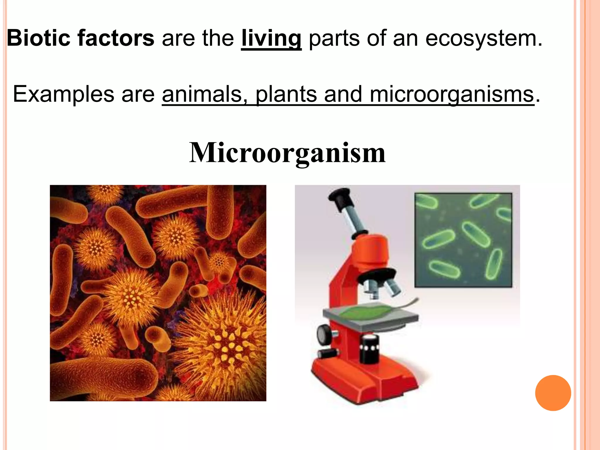 Biotic factors are the living parts of an ecosystem.

Examples are animals, plants and microorganisms.

                 Microorganism
 