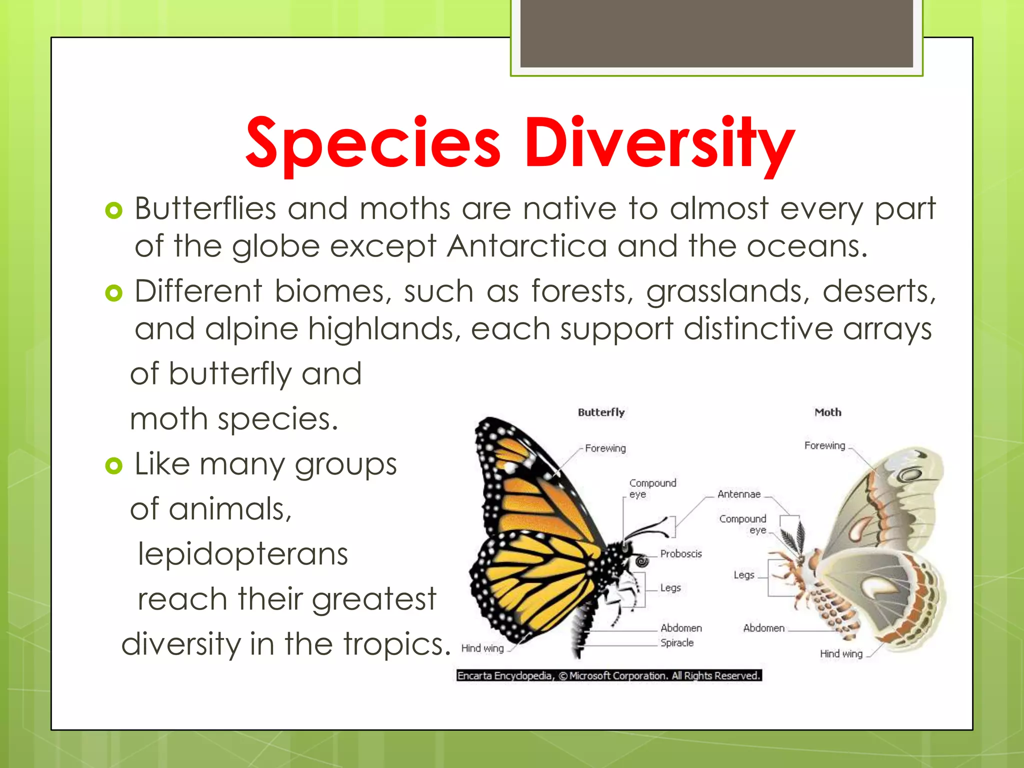 Species Diversity
 Butterflies and moths are native to almost every part
  of the globe except Antarctica and the oceans.
 Different biomes, such as forests, grasslands, deserts,
  and alpine highlands, each support distinctive arrays
  of butterfly and
  moth species.
 Like many groups
  of animals,
  lepidopterans
  reach their greatest
 diversity in the tropics.
 