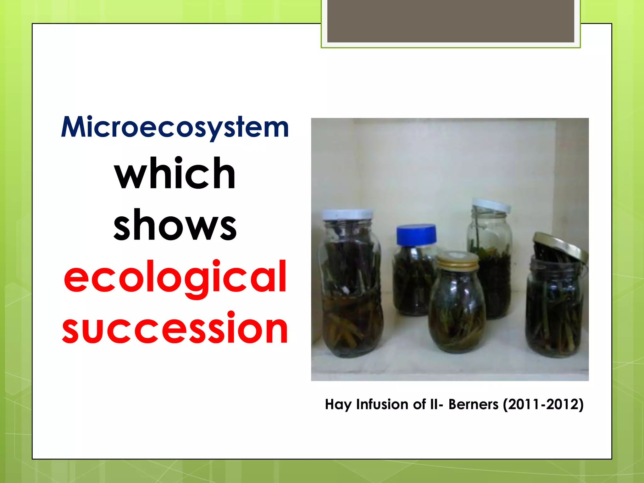 Microecosystem
  which
  shows
ecological
succession
                 Hay Infusion of II- Berners (2011-2012)
 