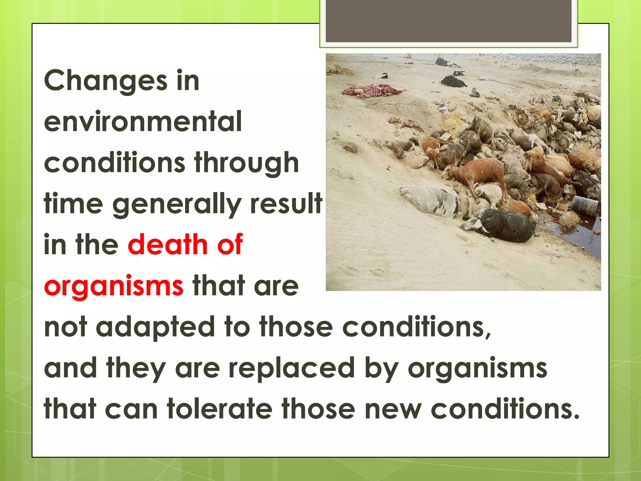 Changes in
environmental
conditions through
time generally result
in the death of
organisms that are
not adapted to those conditions,
and they are replaced by organisms
that can tolerate those new conditions.
 
