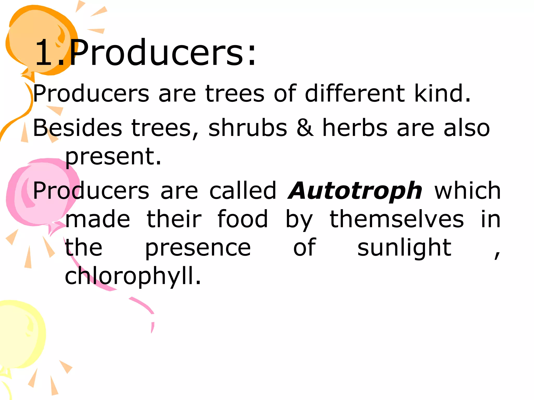 1.Producers:
Producers are trees of different kind.
Besides trees, shrubs & herbs are also
   present.
Producers are called Autotroph which
   made their food by themselves in
   the   presence     of    sunlight   ,
   chlorophyll.
 