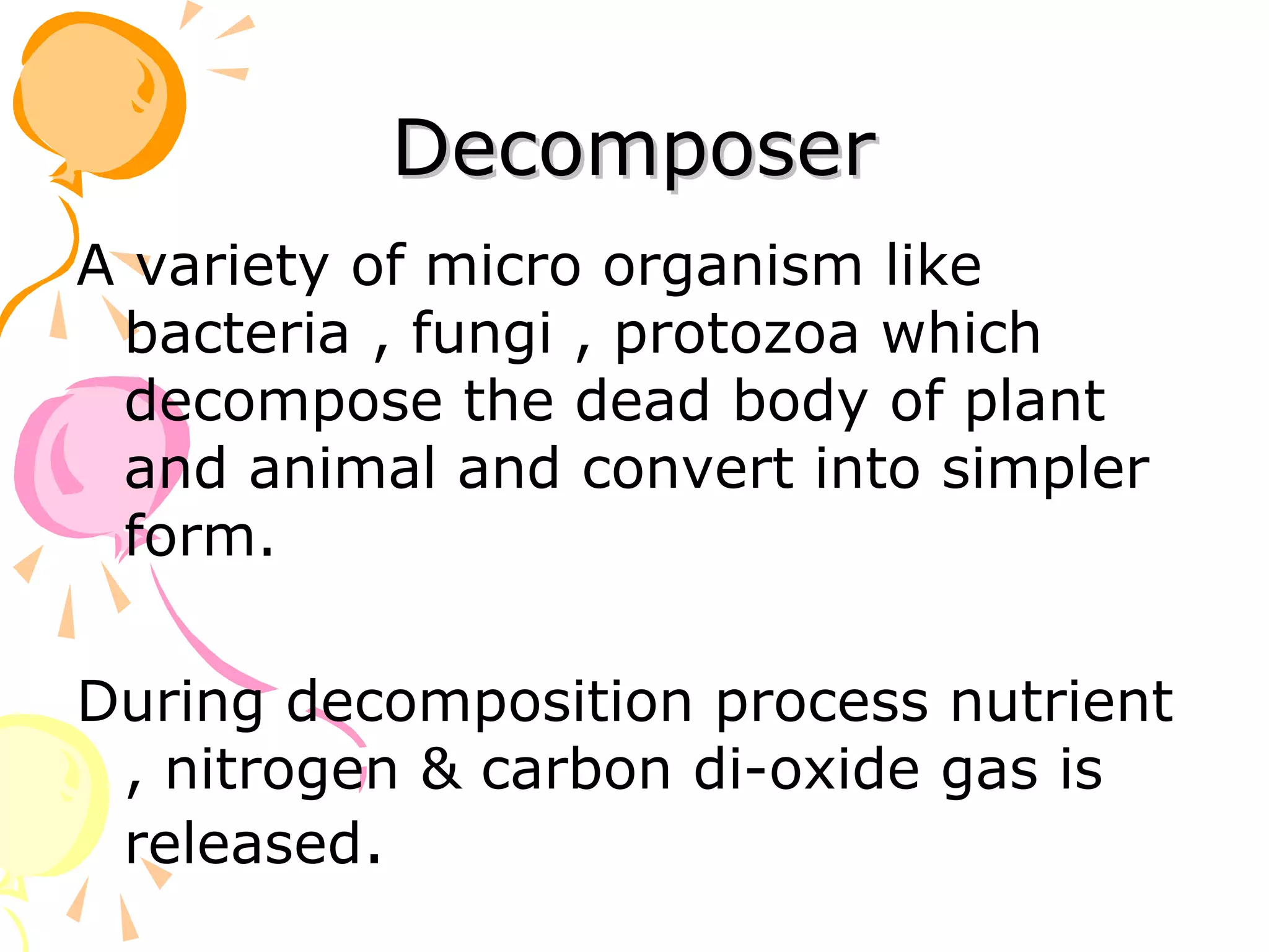 Decomposer
A variety of micro organism like
 bacteria , fungi , protozoa which
 decompose the dead body of plant
 and animal and convert into simpler
 form.

During decomposition process nutrient
 , nitrogen & carbon di-oxide gas is
 released.
 