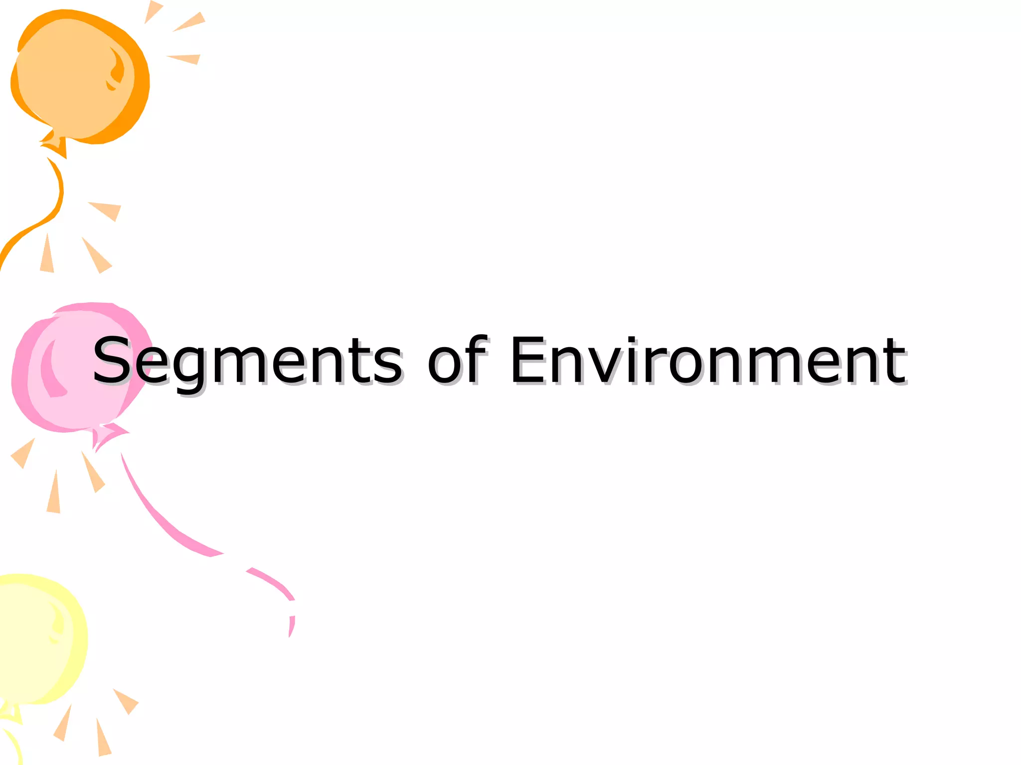 Segments of Environment
 