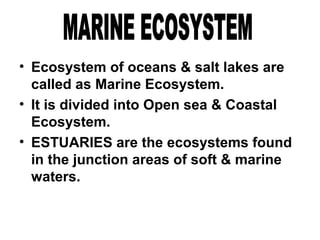 • Ecosystem of oceans & salt lakes are
called as Marine Ecosystem.
• It is divided into Open sea & Coastal
Ecosystem.
• ESTUARIES are the ecosystems found
in the junction areas of soft & marine
waters.
 
