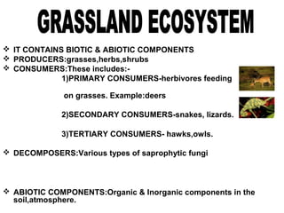  IT CONTAINS BIOTIC & ABIOTIC COMPONENTS
 PRODUCERS:grasses,herbs,shrubs
 CONSUMERS:These includes:-
1)PRIMARY CONSUMERS-herbivores feeding
on grasses. Example:deers
2)SECONDARY CONSUMERS-snakes, lizards.
3)TERTIARY CONSUMERS- hawks,owls.
 DECOMPOSERS:Various types of saprophytic fungi
 ABIOTIC COMPONENTS:Organic & Inorganic components in the
soil,atmosphere.
 