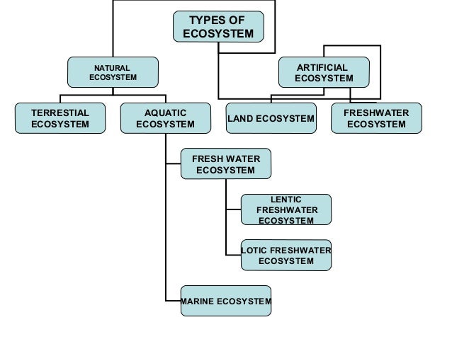 major types of ecosystems figure 1 8 factors affecting types of ecosystems