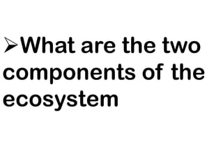 What are the two
components of the
ecosystem
 
