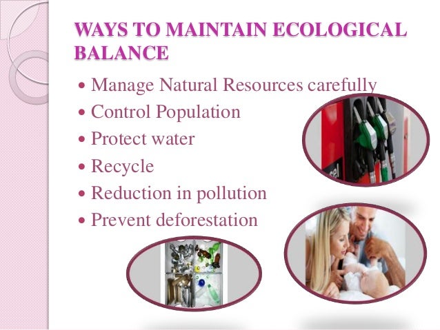 Control of nature essay
