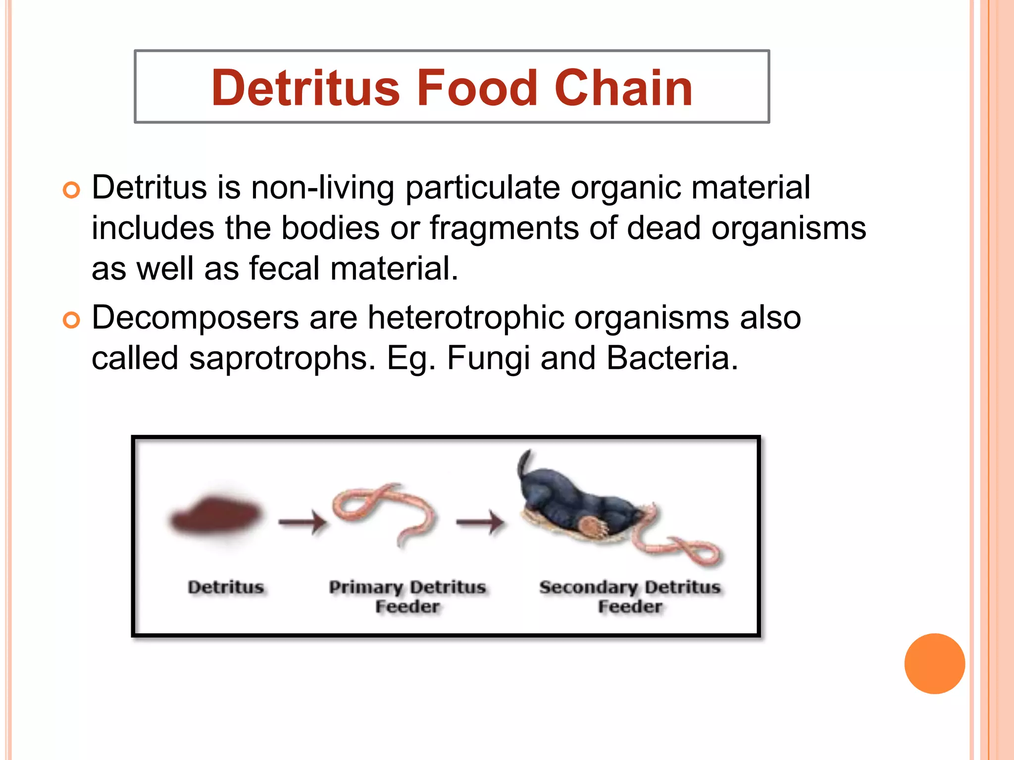 Detritus Food Chain
Detritus is non-living particulate organic material
includes the bodies or fragments of dead organisms
as well as fecal material.
 Decomposers are heterotrophic organisms also
called saprotrophs. Eg. Fungi and Bacteria.


 