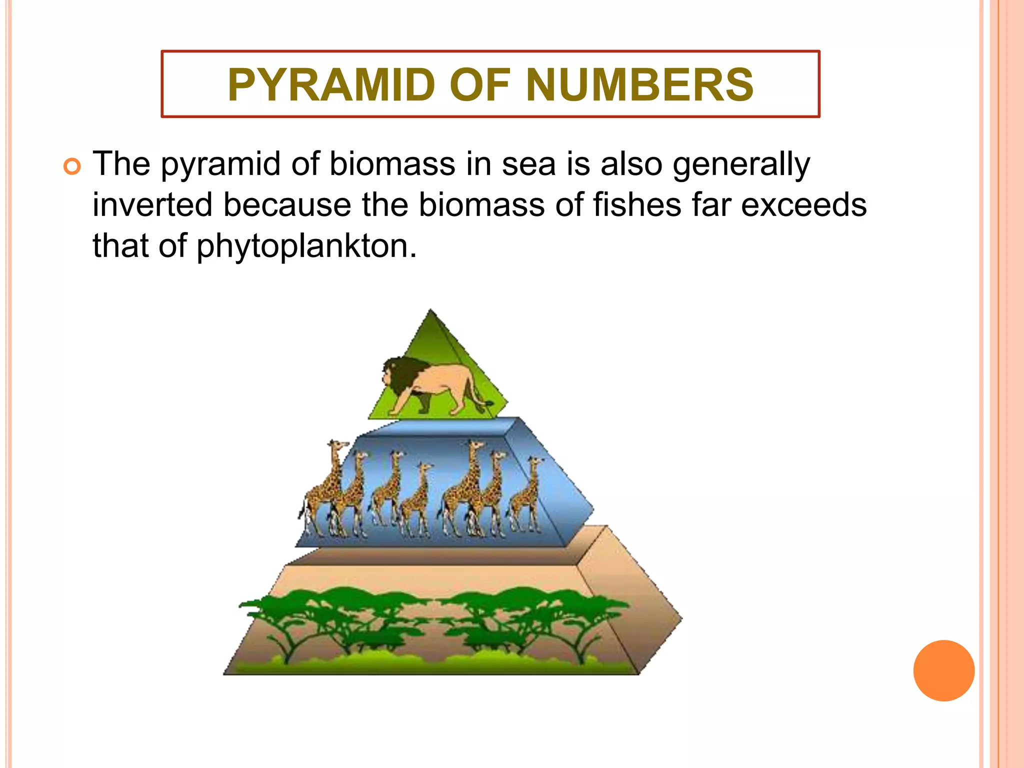 PYRAMID OF NUMBERS


The pyramid of biomass in sea is also generally
inverted because the biomass of fishes far exceeds
that of phytoplankton.

 