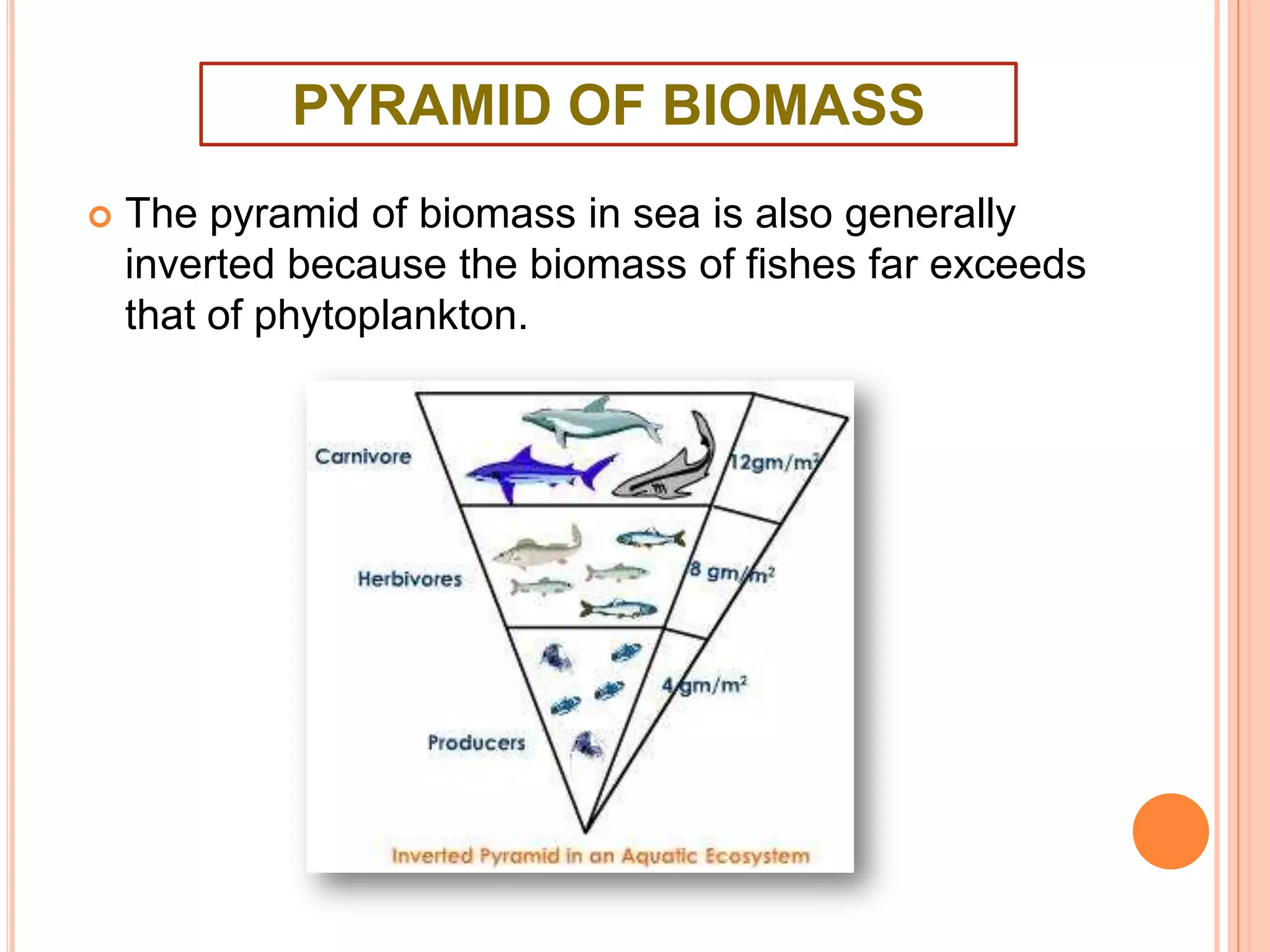 PYRAMID OF BIOMASS


The pyramid of biomass in sea is also generally
inverted because the biomass of fishes far exceeds
that of phytoplankton.

 
