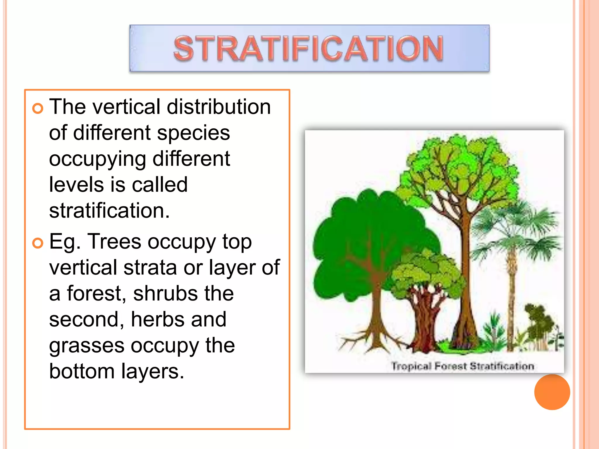 The

vertical distribution
of different species
occupying different
levels is called
stratification.
 Eg. Trees occupy top
vertical strata or layer of
a forest, shrubs the
second, herbs and
grasses occupy the
bottom layers.

 
