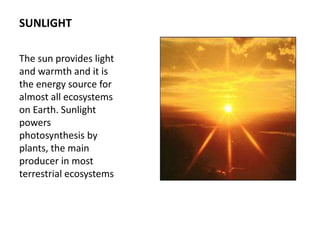 SUNLIGHT
The sun provides light
and warmth and it is
the energy source for
almost all ecosystems
on Earth. Sunlight
powers
photosynthesis by
plants, the main
producer in most
terrestrial ecosystems
 