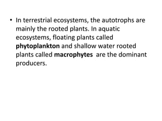 • In terrestrial ecosystems, the autotrophs are
mainly the rooted plants. In aquatic
ecosystems, floating plants called
phytoplankton and shallow water rooted
plants called macrophytes are the dominant
producers.
 