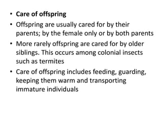 • Care of offspring
• Offspring are usually cared for by their
parents; by the female only or by both parents
• More rarely offspring are cared for by older
siblings. This occurs among colonial insects
such as termites
• Care of offspring includes feeding, guarding,
keeping them warm and transporting
immature individuals
 