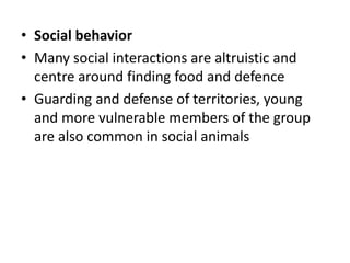 • Social behavior
• Many social interactions are altruistic and
centre around finding food and defence
• Guarding and defense of territories, young
and more vulnerable members of the group
are also common in social animals
 