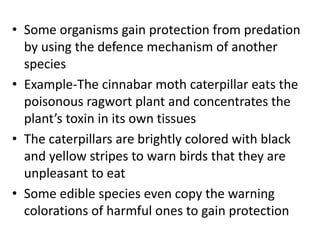 • Some organisms gain protection from predation
by using the defence mechanism of another
species
• Example-The cinnabar moth caterpillar eats the
poisonous ragwort plant and concentrates the
plant’s toxin in its own tissues
• The caterpillars are brightly colored with black
and yellow stripes to warn birds that they are
unpleasant to eat
• Some edible species even copy the warning
colorations of harmful ones to gain protection
 