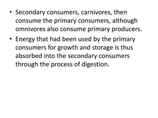 • Secondary consumers, carnivores, then
consume the primary consumers, although
omnivores also consume primary producers.
• Energy that had been used by the primary
consumers for growth and storage is thus
absorbed into the secondary consumers
through the process of digestion.
 