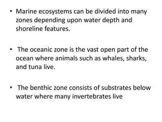 • Marine ecosystems can be divided into many
zones depending upon water depth and
shoreline features.
• The oceanic zone is the vast open part of the
ocean where animals such as whales, sharks,
and tuna live.
• The benthic zone consists of substrates below
water where many invertebrates live
 