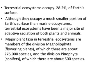 • Terrestrial ecosystems occupy 28.2%, of Earth's
surface.
• Although they occupy a much smaller portion of
Earth's surface than marine ecosystems,
terrestrial ecosystems have been a major site of
adaptive radiation of both plants and animals.
• Major plant taxa in terrestrial ecosystems are
members of the division Magnoliophyta
(flowering plants), of which there are about
275,000 species, and the division Pinophyta
(conifers), of which there are about 500 species.
 