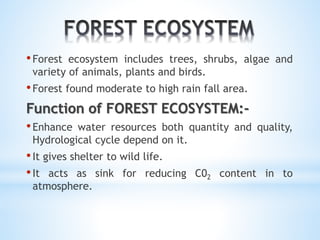 • Forest ecosystem includes trees, shrubs, algae and 
variety of animals, plants and birds. 
• Forest found moderate to high rain fall area. 
Function of FOREST ECOSYSTEM:- 
• Enhance water resources both quantity and quality, 
Hydrological cycle depend on it. 
• It gives shelter to wild life. 
• It acts as sink for reducing C02 content in to 
atmosphere. 
 