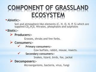 • Abiotic:- 
Soil and atmosphere like elements (C, H, O, N. P, S) which are 
supplied C02,H20, Nitrates, phosphates and sulphates 
• Biotic:- 
 Producers:- 
Grasses, shrubs and few forbs. 
 Consumers:- 
 Primary consumers:- 
Cow buffalo, rabbit, mouse, insects. 
 Secondary consumers:- 
Snakes, lizard, birds, fox, jackal 
 Decomposers:- 
Microorganisms, bacteria, virus, fungi 
 