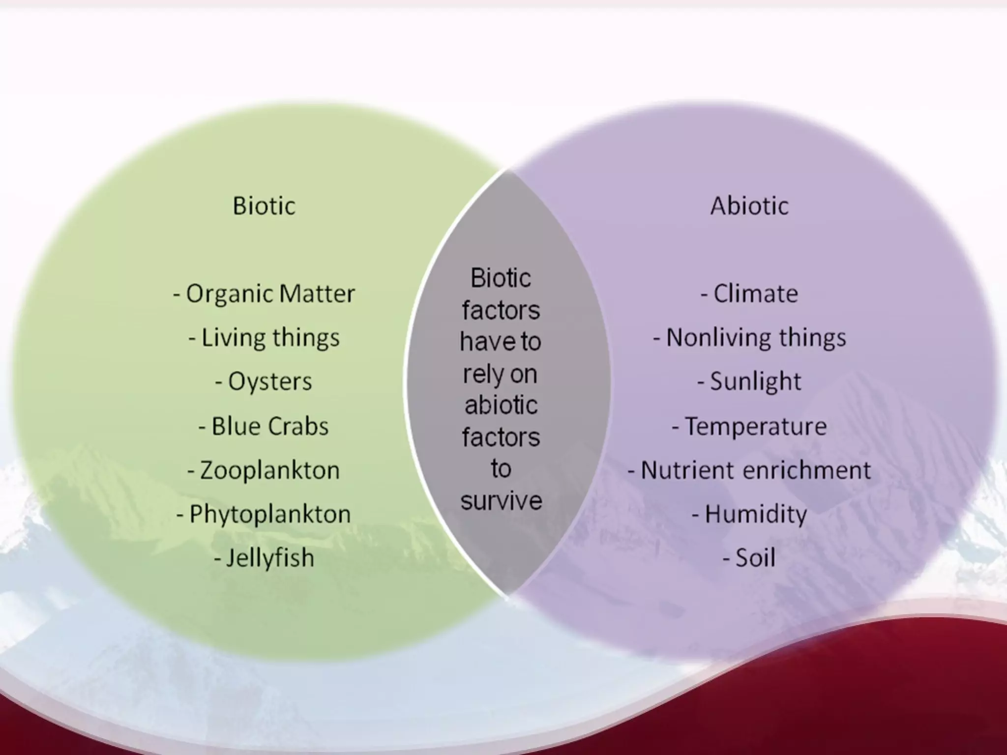 Ecosystem | class 12 | cbse | PPT | Geology | Science