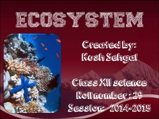 ECOSYSTEM 
Created by: 
Kush Sehgal 
Class XII science 
Roll number : 29 
Session: 2014- 
2015 
 