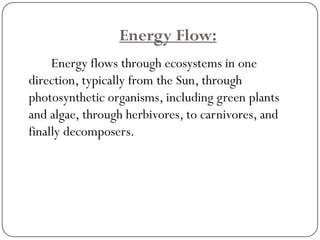 There is a decrease in the overall energyin each level as you move up the food web. 
This means that there is much moree...
