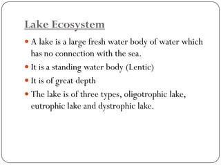 Marine Ecosystem  