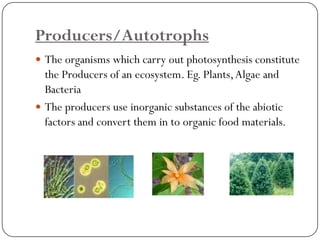 Consumers or Heterotrophs 
Consumers are organisms whish eat other organisms. All animals are consumers. 
They are furth...