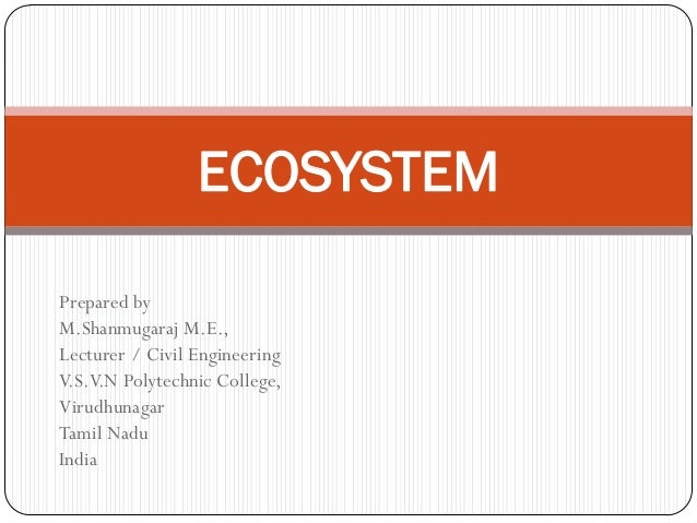 Ecosystem