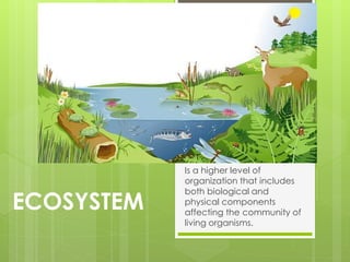 ECOSYSTEM
Is a higher level of
organization that includes
both biological and
physical components
affecting the community of
living organisms.
 