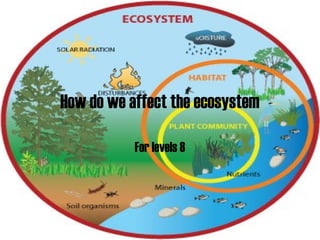 How do we affect the ecosystem
For levels 8
 