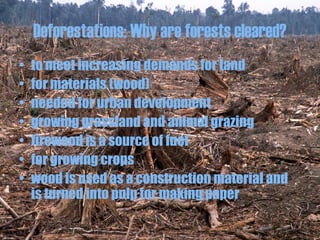 Deforestations: Why are forests cleared?
• to meet increasing demands for land
• for materials (wood)
• needed for urban development
• growing grassland and animal grazing
• firewood is a source of fuel
• for growing crops
• wood is used as a construction material and
is turned into pulp for making paper
 
