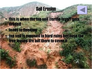 Soil Erosion
• this is when the top soil (fertile layer) gets
eroded
• leads to flooding
• top soil is exposed to hard rains because the
tree leaves are not there to cover it
 