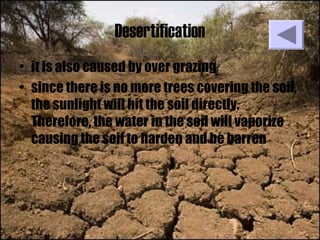 Desertification
• it is also caused by over grazing
• since there is no more trees covering the soil,
the sunlight will hit the soil directly.
Therefore, the water in the soil will vaporize
causing the soil to harden and be barren
 