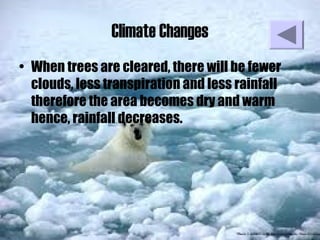 Climate Changes
• When trees are cleared, there will be fewer
clouds, less transpiration and less rainfall
therefore the area becomes dry and warm
hence, rainfall decreases.
 