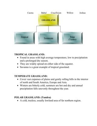 Cactus Babul Crucifixion Willow Joshua
TROPICAL GRASSLAND:
• Found in areas with high average temperature, low to precipitation
and a prolonged dry season.
• They are widely spread on either side of the equator.
• Savanna is a great example of tropical grassland.
TEMPERATE GRASSLAND:
• Cover vast expanses of plains and gently rolling hills in the interior
of north and South America, Europe and Asia.
• Winters are bitterly cold, summers are hot and dry and annual
precipitation falls unevenly throughout the year.
POLAR GRASSLAND: (Tundra)
• A cold, treeless, usually lowland area of far northern region.
GRASSLAND
Tropical
Temperate
Polar
(Tundra)
 